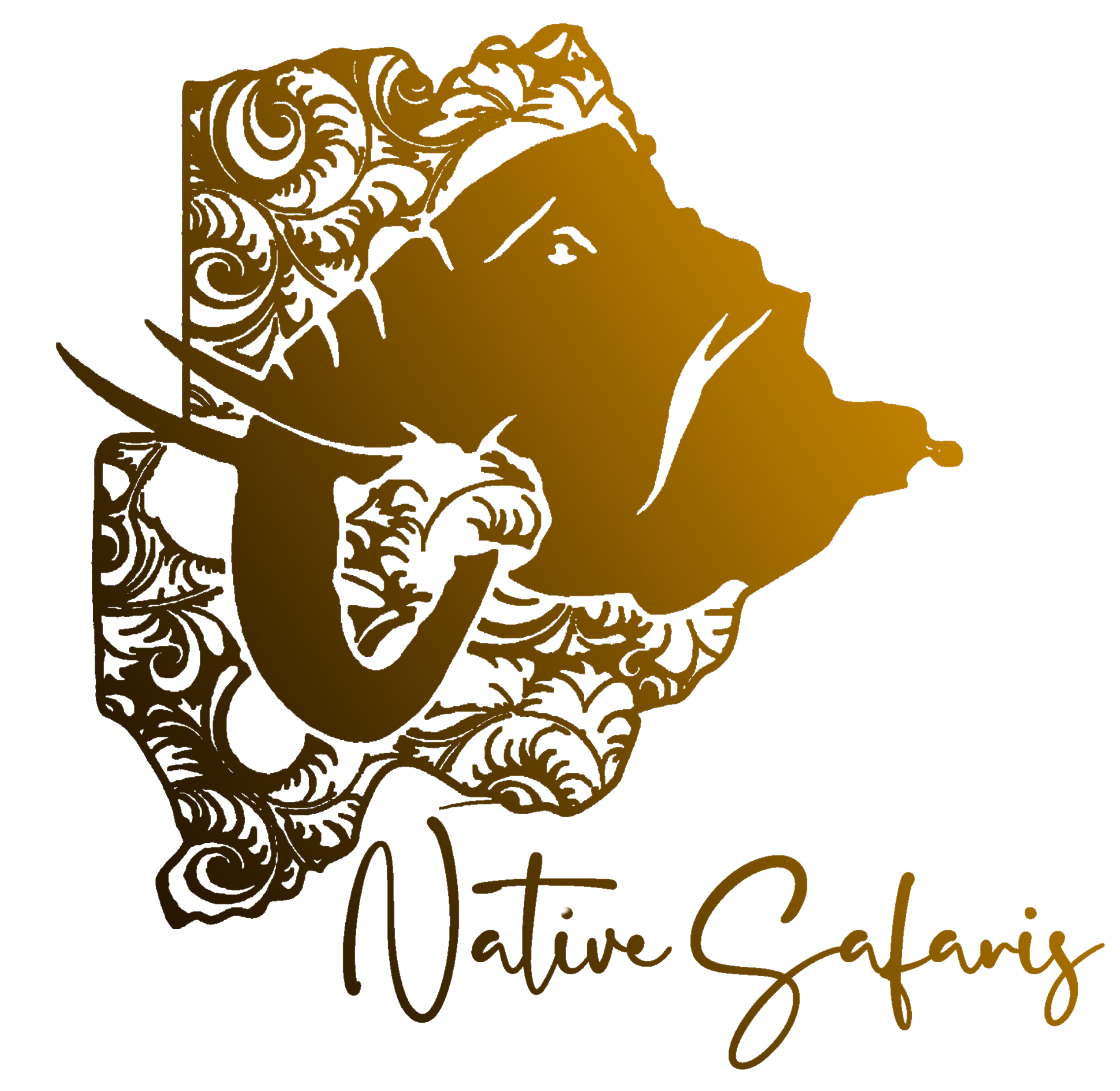 Native Safaris official logo_240409_150508.pdf